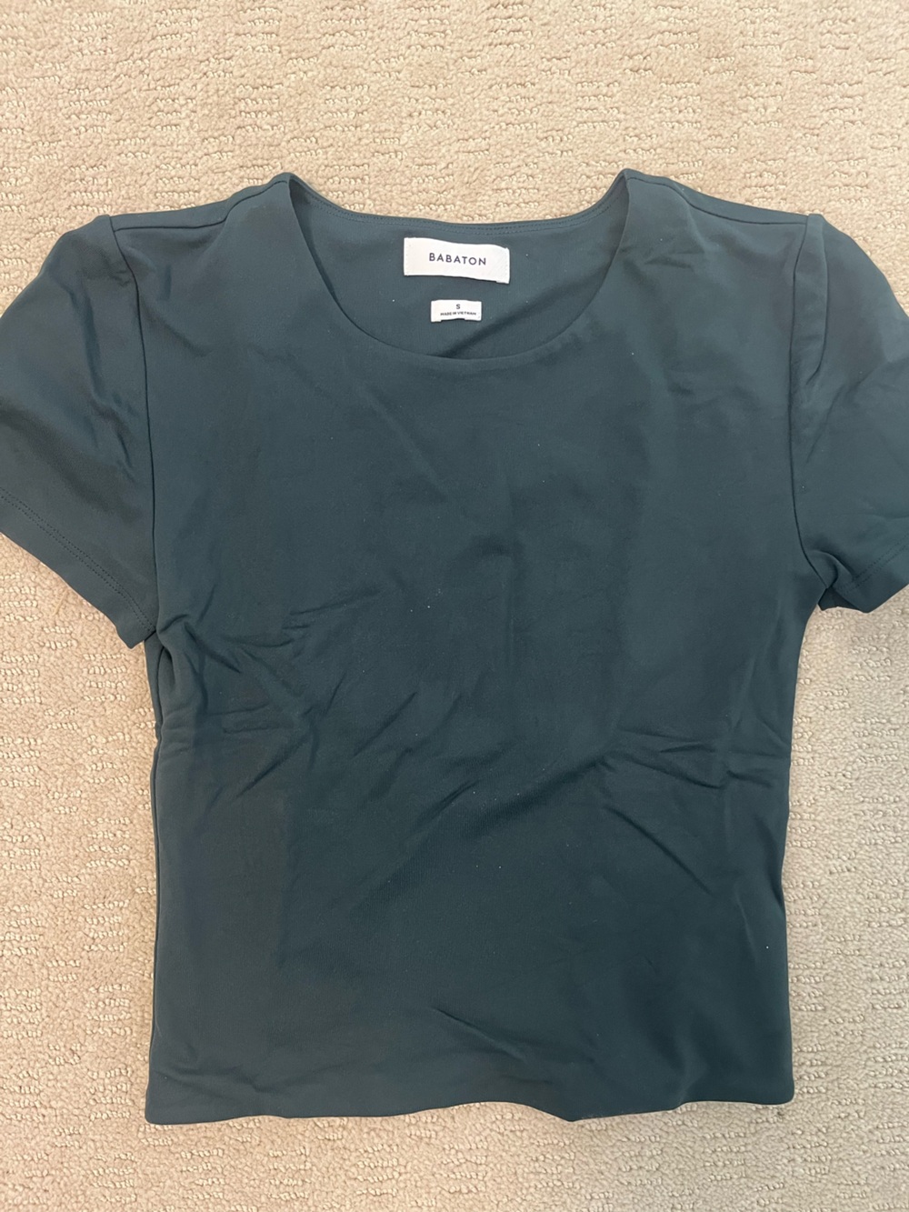 Babaton (Aritzia) Short Sleeve Contour Tee